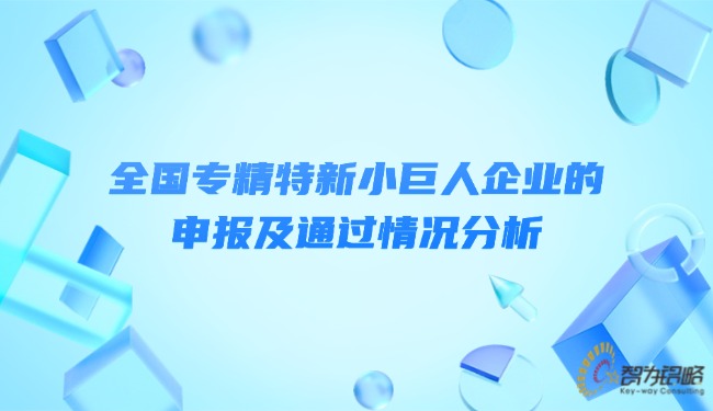 全國專精特新小巨人企業(yè)的申報及通過情況分析.jpg