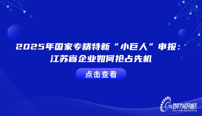 2025年國家專精特新“小巨人”申報(bào)：江蘇省企業(yè)如何搶占先機(jī).jpg