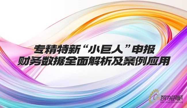 專精特新“小巨人”申報財務(wù)數(shù)據(jù)全面解析及案例應(yīng)用.jpg
