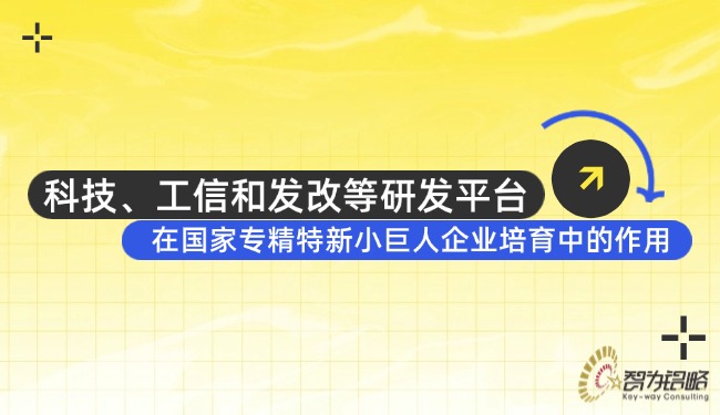科技、工信和發(fā)改等研發(fā)平臺在國家專精特新小巨人企業(yè)培育中的作用.jpg